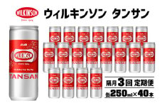 【隔月3カ月定期便】ウィルキンソン タンサン 250ml缶 20本×2ケース　飲料 炭酸水 ウィルキンソン炭酸 炭酸飲料 本格炭酸水 ソーダ水 災害 防災 備蓄 非常用 明石市 兵庫県