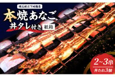 本焼あなご2～3串・丼タレ3個(紙箱) 串焼き 蒲焼 穴子 アナゴ 焼き穴子 穴子丼 あなご丼 新鮮 おつまみ おかず お取り寄せ 明石市 兵庫県