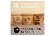 焼きたてコーヒー（豆のまま）3種類 珈琲 豆 コーヒー 豆のまま 焙煎したて 飲み比べ セット 明石市 兵庫