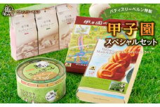 パティスリーベルン特製　甲子園スペシャルセット
