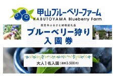 甲山ブルーベリーファーム ブルーベリー狩り入園券（大人1名）