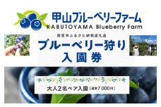 甲山ブルーベリーファーム ブルーベリー狩り入園券（大人2名ペア入園）