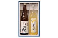 特別本醸造 伊丹郷 720ml マイヤーレモン 酒 720ml セット お酒 洋酒 リキュール 老松酒造 本醸造酒 日本酒 辛口 スッキリ 酒 お酒 兵庫県 兵庫 伊丹市  [№5275-0093]
