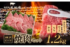 神戸ビーフ ITYS5 焼肉用 セット 1.2kg ( 肩ロース・ロース 600g かた・もも 600g ) 神戸牛 焼肉 太田家 肉 焼き肉 やきにく BBQ 牛肉 肉 冷凍 神戸肉 兵庫県 伊丹市 [№5275-0175]