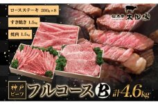 神戸ビーフ ITFC30 フルコースセット B 4.6kg ( しゃぶしゃぶ・すき焼き用 1.5kg 焼肉用 1.5kg ロースステーキ 200g×8 ) 神戸牛 しゃぶしゃぶ すき焼き 焼肉 BBQ ステーキ 太田家 牛肉 肉 冷凍 神戸肉 兵庫県 伊丹市 [№5275-0179]