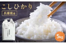 お米 令和6年産 兵庫県産コシヒカリ5kg 米 お米 新米 こめ コメ 白米 兵庫県 伊丹市[№5275-0201]