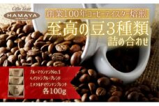 ハマヤコーヒーセット100BR [№5275-0257]