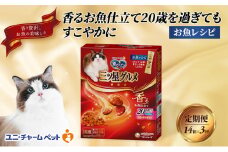 【定期便3回】銀のスプーン三ツ星グルメ 香るお魚仕立て20歳を過ぎてもすこやかに お魚レシピ 240g×14箱 3ヶ月連続お届け ペットフード キャットフード 猫のごはん 猫用フード 猫 ペット [№5275-0624]