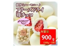 フリーズドライ苺チョコ 900g 300gx3袋 4月～10月発送 チョコレート チョコ スイーツ お菓子 おかし いちご ホワイトチョコ ギフト プレゼント 兵庫県 伊丹市[№5275-0737]