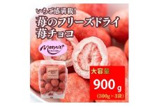 苺のフリーズドライ苺チョコ900g 300gx3袋 4月～10月発送 チョコレート チョコ スイーツ お菓子 おかし いちご ホワイトチョコ イチゴ パウダー ギフト プレゼント 兵庫県 伊丹市[№5275-0739]