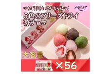 5色の苺チョコ 5粒×56箱 4月～10月発送 チョコレート チョコ スイーツ お菓子 おかし  苺  ミックス  ミルクチョコ  ホワイトチョコ  苺チョコ  抹茶チョコ  ギフト プレゼント 兵庫県 伊丹市 [№5275-0769]