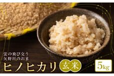 矢野川のお米　ヒノヒカリ玄米5kg