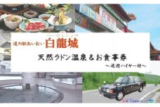 道の駅　あいおい白龍城（ペーロン城）天然ラドン温泉＆お食事券　1名さま～送迎ハイヤー付～