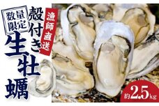 ★先行予約★殻付き生牡蠣 2.5kg【漁師直送！】
