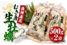 ★先行予約★むき身 生牡蠣500gx2【漁師直送！】