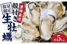 ★先行予約★殻付き生牡蠣 5kg【漁師直送！】