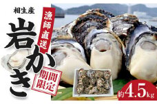 岩かき　4.5kg【漁師直送！】2025年5月中旬～発送