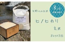 【定期便・全3回】矢野川のお米　ヒノヒカリ玄米8kgx3回