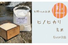 【定期便・全3回】矢野川のお米　ヒノヒカリ玄米5kgｘ3回