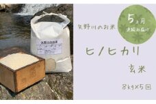 【定期便・全5回】矢野川のお米　ヒノヒカリ玄米8kgx5回