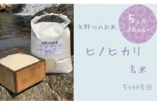 【定期便・全5回】矢野川のお米　ヒノヒカリ玄米5kgｘ5回