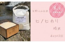 【定期便・全３回】矢野川のお米　ヒノヒカリ精米4kgｘ3回