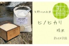 【定期便・全3回】矢野川のお米　ヒノヒカリ精米8kgx3回