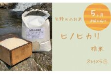 【定期便・全5回】矢野川のお米　ヒノヒカリ精米8kgｘ5回