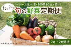 「ベジーズ館」の夏・冬野菜　年２回コース （7月と12月発送）【たっぷりセット】