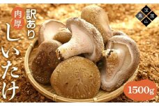 【有機】深山農園の 有機 中身美人の新鮮しいたけ ～アウトレット～1,500g