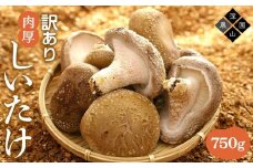 【有機】深山農園の 有機 中身美人の新鮮しいたけ ～アウトレット～750g