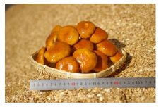 【デカくてびっくり】ジャンボなめこ 450g