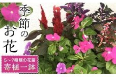 相生から季節のお花の寄植