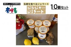 生姜を食べるジェラート10個セット
