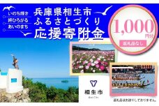 【返礼品なし】兵庫県相生市への寄付（1,000円分）