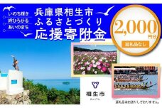 【返礼品なし】兵庫県相生市への寄付（2,000円分）