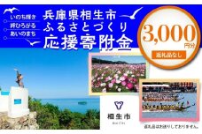 【返礼品なし】兵庫県相生市への寄付（3,000円分）