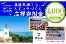 【返礼品なし】兵庫県相生市への寄付（4,000円分）