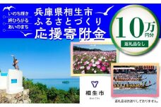【返礼品なし】兵庫県相生市への寄付（100,000円分）