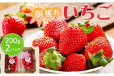 【先行受付】あいのまち相生市産　朝獲れいちご　200g×2パック（2026年2月下旬以降発送）