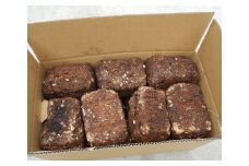【カブトムシ・クワガタ】深山農園の しいたけ廃菌床 14個
