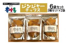 ジンジャーチップス３種セット×２（計６袋）
