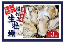 ★先行予約★《訳あり・不揃い》殻付き生牡蠣　3kg 【漁師直送!】冷蔵配送