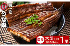 鰻一筋「うな幸」のふわとろ蒲焼き【“国産”特大1本入り】たれ付き