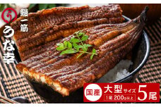 鰻一筋「うな幸」のふわとろ蒲焼き【“国産”特大５本入り】たれ付き