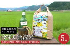 無洗米 5kg（白米）コシヒカリ お米 今ずり米 兵庫県但馬産