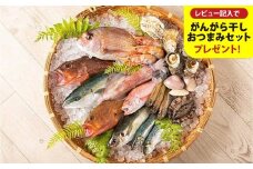 【城崎温泉おけしょう鮮魚】季節の海の幸セット　約2人前