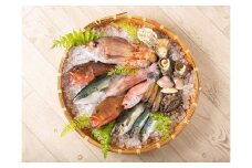 【城崎温泉おけしょう鮮魚】季節の海の幸セット　約4人前