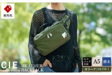 豊岡鞄　CIE WEATHER BODYBAG with MARKET BAG（071954）オリーブ
