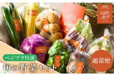 旬の新鮮なお野菜を産地直送！ベジプラ特選 旬の野菜セット【1回お届け 】 / 野菜 詰め合わせ セット 野菜セット 新鮮 ギフト やさい 苦みが少ない 甘みが強い Veggie de＋